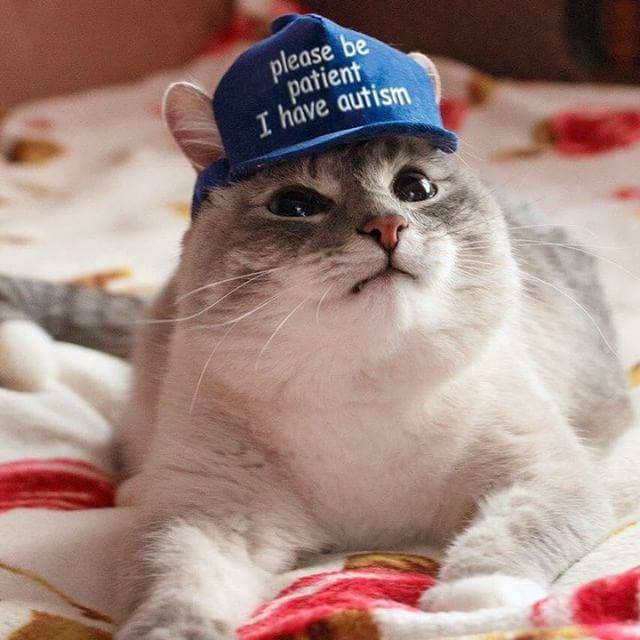./uploads/201809/post_3833_1538161257_2e9bb794e521d2bc62e233939d3ecee1.jpg