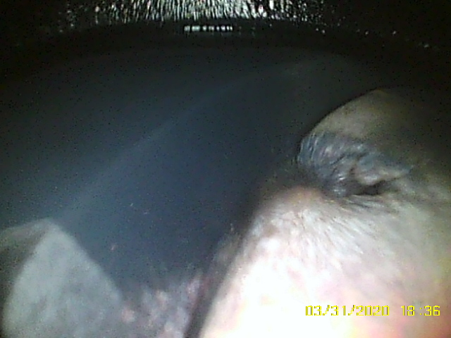 ./uploads/202003/post_4626_1585653253_253b49a5b054861fd6bec090a583c495.jpg